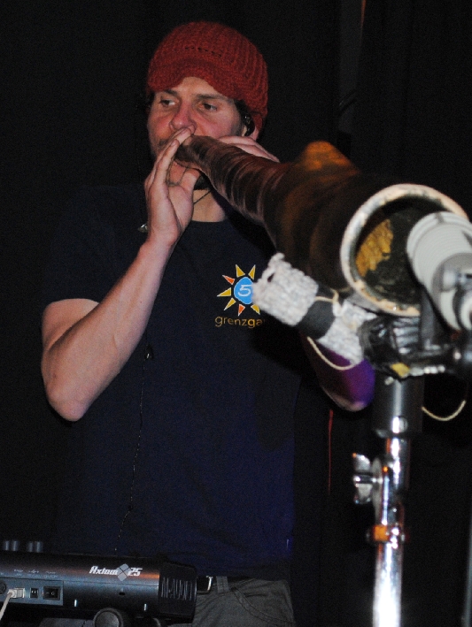 AnalogueBirds 0411 (4)